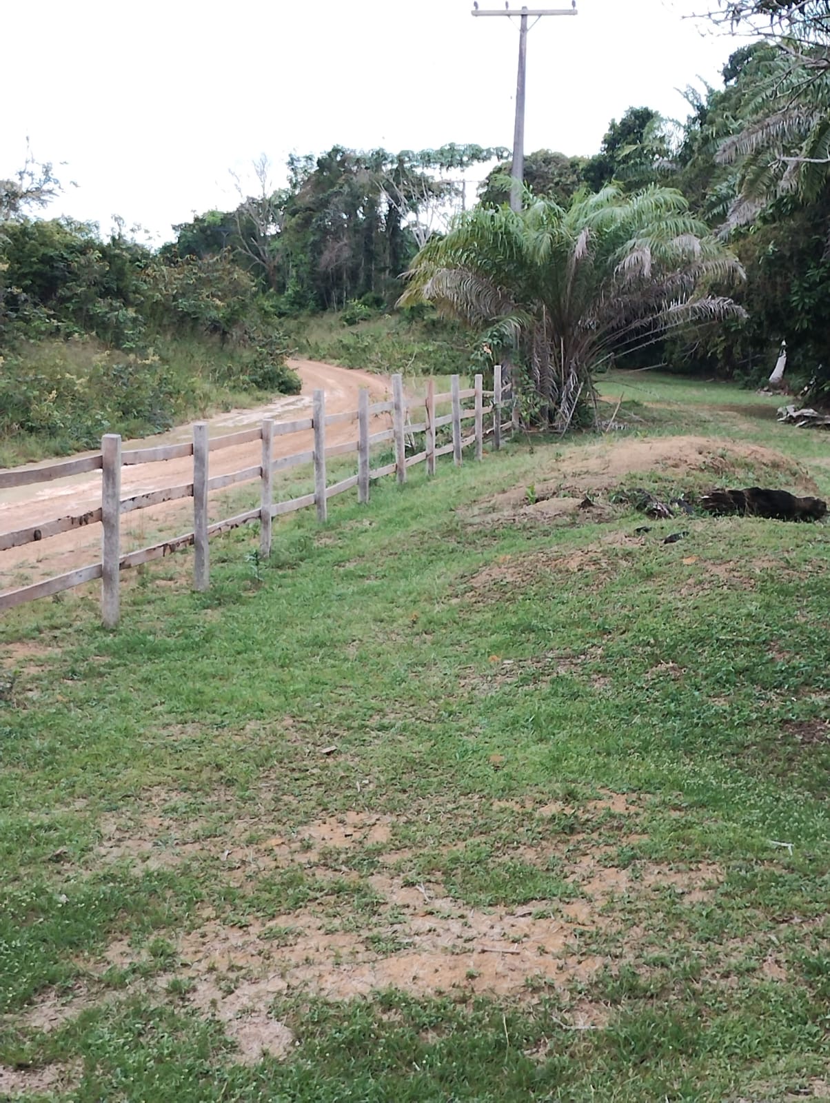 Estrada do Ramal ZF7 que leva à Comunidade do KM 40